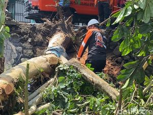 Belasan Pohon Tumbang di Blitar, Rusak Warung-Rumah Warga Belasan Pohon Tumbang di Blitar, Rusak Warung-Rumah Warga