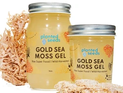 Sea Moss Gel Itu Apa? Ini Cara Membuat, Manfaat, dan Kandungannya