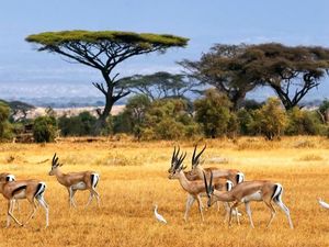 Tren Wisata Akhir Tahun, Ini Destinasi Jatim yang Wajib Masuk List