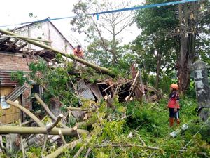 7 Rumah Rusak dan Banyak Pohon Tumbang Imbas Angin Kencang di Sukoharjo 7 Rumah Rusak dan Banyak Pohon Tumbang Imbas Angin Kencang di Sukoharjo