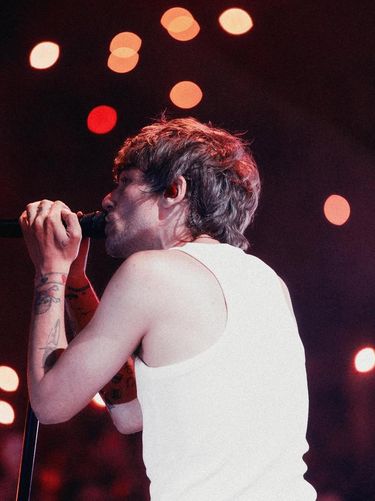 Louis Tomlinson dan Zayn Malik akan membintangi serial dokumenter Netflix.