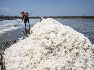 Produksi Garam RI Turun, Baru 1 Juta Ton