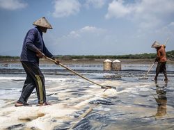 Cuaca Ekstrem Bikin Produksi Garam Diprediksi Cuma 1 Juta Ton Tahun Ini