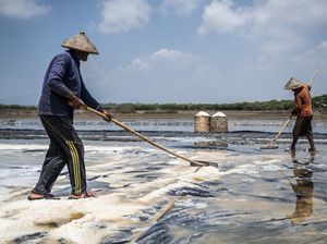 Cuaca Ekstrem Bikin Produksi Garam Diprediksi Cuma 1 Juta Ton Tahun Ini