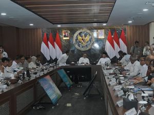 451.000 Ha Kawasan Hutan Dilepas buat Proyek Food Estate di Papua Selatan 451.000 Ha Kawasan Hutan Dilepas buat Proyek Food Estate di Papua Selatan