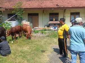 Polisi Grebek Rumah Penyimpanan Sapi Curian di Probolinggo, 6 Ekor Diamankan Polisi Grebek Rumah Penyimpanan Sapi Curian di Probolinggo, 6 Ekor Diamankan