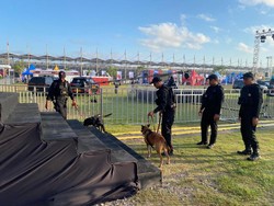 Puluhan Anjing Pelacak Dikerahkan Amankan MotoGP Mandalika