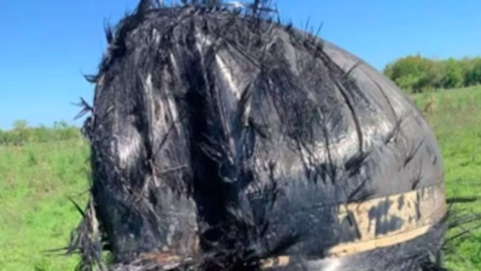 Benda Asing Berbulu Jatuh dari Langit, Apa Itu?