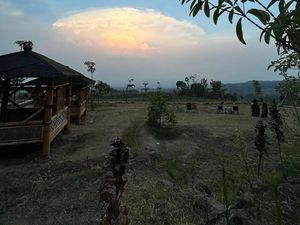 Sengon Hills Ngawi, Wisata Alam dan Edukasi di Kaki Gunung Lawu