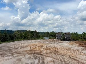 Terungkap! Ada Tambang Batu Bara Ilegal-Perambahan Hutan di Kawasan IKN