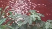Dugaan Biang Kerok Air Kali di Serpong Berwarna Merah
