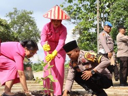 Partisipasi Bhayangkari di Kuansing Tanam Pohon Dukung Green Policing