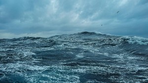 Penumpang Kapal Pelni Makassar-Labuan Bajo Hilang Seusai Lompat ke Laut