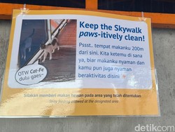 Jangan Sembarangan, Beri Makan Kucing di Skywalk Kebayoran Kini Ada Tempatnya