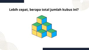 Tes Seberapa Cepat Otak Kamu Bekerja, Coba Hitung Berapa Banyak Balok Ini!