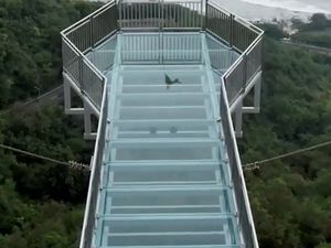 Video: India Punya Jembatan Kaca Terpanjang, Jadi Spot Selfie Aesthetic