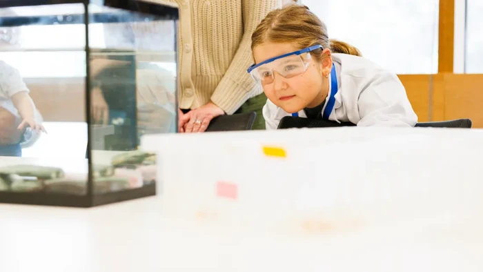 Kisah Inspiratif, Siswa SD Ini Kumpulkan Puluhan Juta Rupiah untuk Ilmu Pengetahuan!