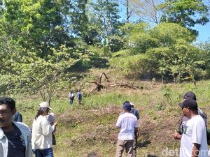 Debit Sungai Wae Mese Labuan Bajo Berkurang Saat Peak Season Turis Debit Sungai Wae Mese Labuan Bajo Berkurang Saat Peak Season Turis