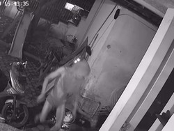 Pencuri Berkolor di Medan Lari Terbirit-birit Digonggong Anjing