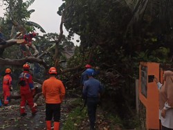 41 Rumah dan Sekolah di Bogor Rusak Diterjang Angin Kencang