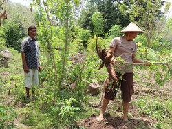 Bhabinkamtibmas Tempaling Rembang Ajak Warga Sulap Lahan Kosong Jadi Sumber Pangan