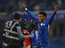 Puja-puji untuk Estevao