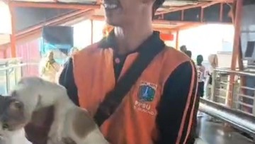 Pasukan Oranye Turunkan Kucing dari Skywalk Kebayoran Lama Gegara Kotoran