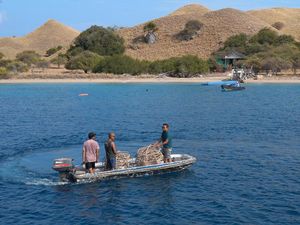 Penyelam Labuan Bajo Obati Karang Rusak di Gili Lawa Darat TN Komodo Penyelam Labuan Bajo Obati Karang Rusak di Gili Lawa Darat TN Komodo
