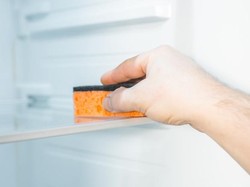 Spons Cuci Piring Juga Bisa untuk Bersihkan Kulkas, Begini Caranya