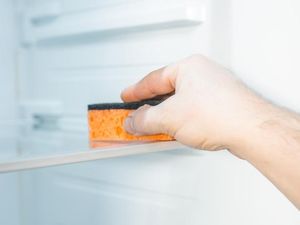 Spons Cuci Piring Juga Bisa untuk Bersihkan Kulkas, Begini Caranya Spons Cuci Piring Juga Bisa untuk Bersihkan Kulkas, Begini Caranya