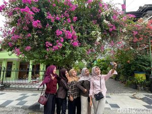FOMO Bunga Bougenville, Anak Muda Lamongan Ramai-ramai Hunting Foto Estetik FOMO Bunga Bougenville, Anak Muda Lamongan Ramai-ramai Hunting Foto Estetik
