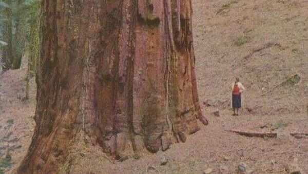 Wow! Manusia Tampak Mini Banget di Dekat Benda-Benda Raksasa