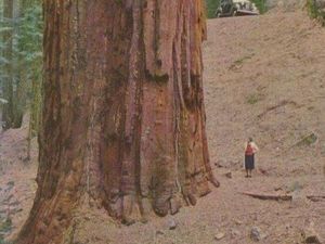 Wow! Manusia Tampak Mini Banget di Dekat Benda-Benda Raksasa