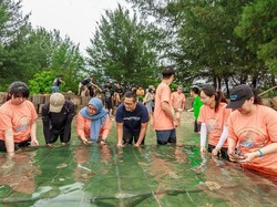 Menghijaukan Pesisir Jakarta Bukan Mimpi Bagi Komunitas Ini
