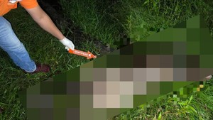 Ramli Ditemukan Tewas di Kebun Karet Merangin, Sempat Dilaporkan Hilang
