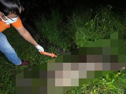 Ramli Ditemukan Tewas di Kebun Karet Merangin, Sempat Dilaporkan Hilang