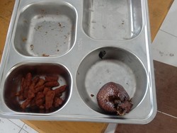 Guru SDN Oi Mara Bima Temukan Salak Busuk di Menu MBG