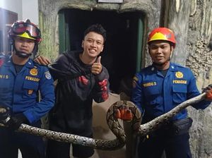 Hii... Ular Sanca 2,5 Meter Muncul di Rumah Warga Depok Tengah Malam Hii... Ular Sanca 2,5 Meter Muncul di Rumah Warga Depok Tengah Malam
