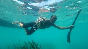 Tradisi Memburu Gurita ala Suku Bajo