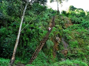 Aksi Perawat Panjat Tebing Curam Demi Antarkan Obat ke Desa Terpencil