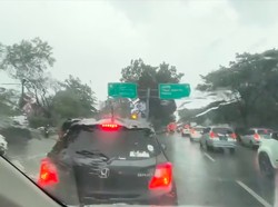 Pohon Tumbang Bikin Macet, Pemobil Ini Sampai Mutar-mutar 2 Jam di BSD