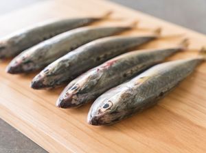 Harga Sembako Jogja Hari Ini 7 Oktober 2025: Telur Ayam-Ikan Kembung Naik! Harga Sembako Jogja Hari Ini 7 Oktober 2025: Telur Ayam-Ikan Kembung Naik!