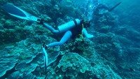 Studi: 1 Bom Meledak di Laut Indonesia Setiap 62 Menit