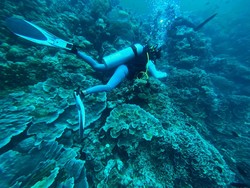 Studi: 1 Bom Meledak di Laut Indonesia Setiap 62 Menit