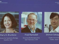 Sosok 3 Ilmuwan Pemenang Nobel Fisiologi atau Kedokteran 2025, Ini Penemuannya