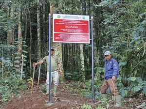 Viral Tanda Dilarang Masuk Kawasan TN di Jalur Curug Sudin Sukabumi, Ada Apa? Viral Tanda Dilarang Masuk Kawasan TN di Jalur Curug Sudin Sukabumi, Ada Apa?