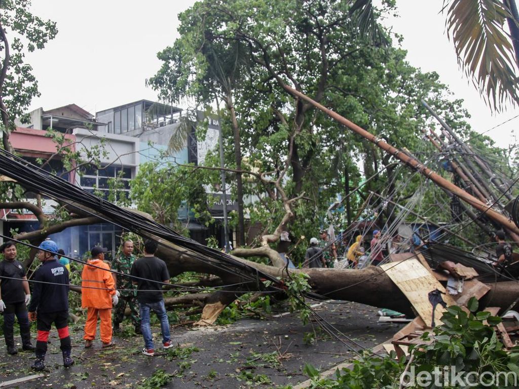 Pohon Tumbang di Jombang Tangsel Imbas Hujan Angin Pohon Tumbang di Jombang Tangsel Imbas Hujan Angin