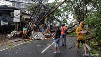 Tangsel-Depok Hujan Angin hingga Pohon Bertumbangan, Ini Analisis BMKG