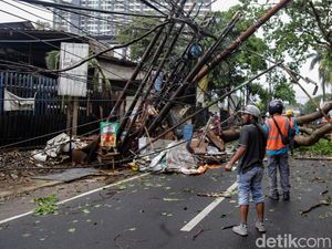 Tangsel-Depok Hujan Angin hingga Pohon Bertumbangan, Ini Analisis BMKG