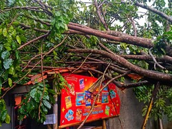 Angin Kencang Terjang Nagrak, Dua Rumah Rusak Tertimpa Pohon